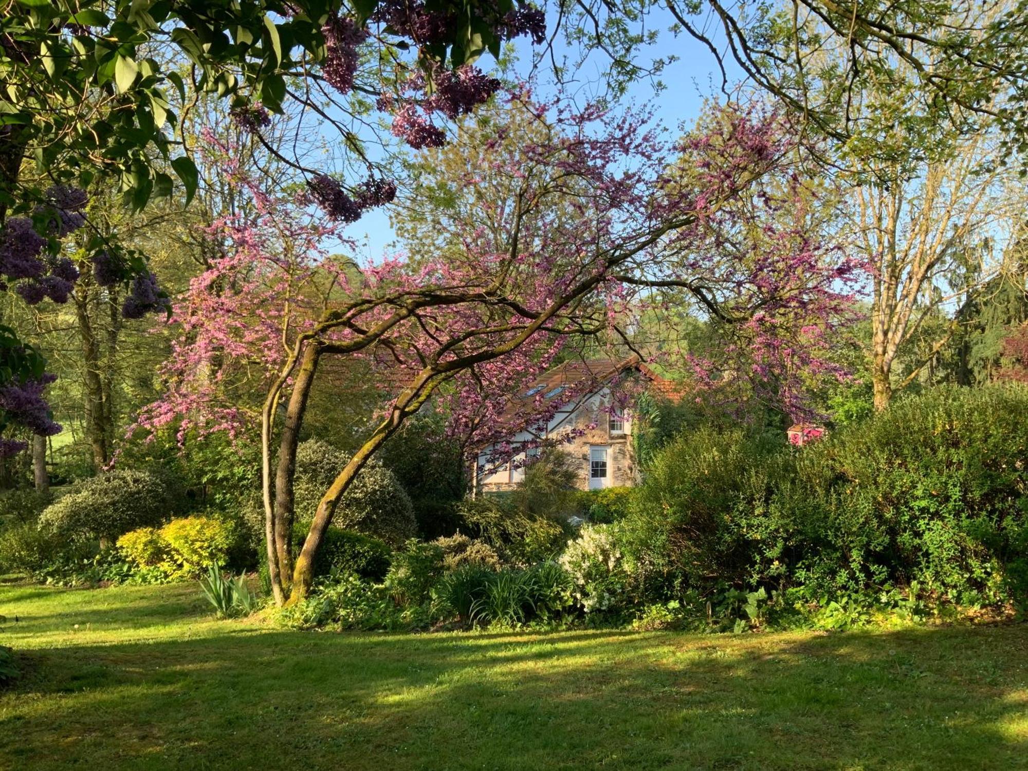 Le Moulin De La Castellerie Bed & Breakfast Moon-sur-Elle Екстериор снимка