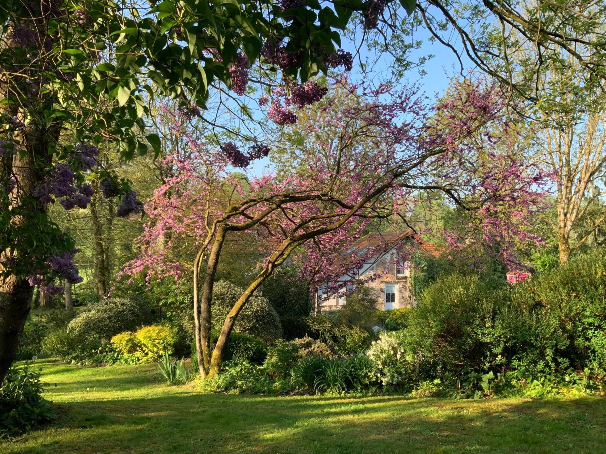 Le Moulin De La Castellerie Bed & Breakfast Moon-sur-Elle Екстериор снимка