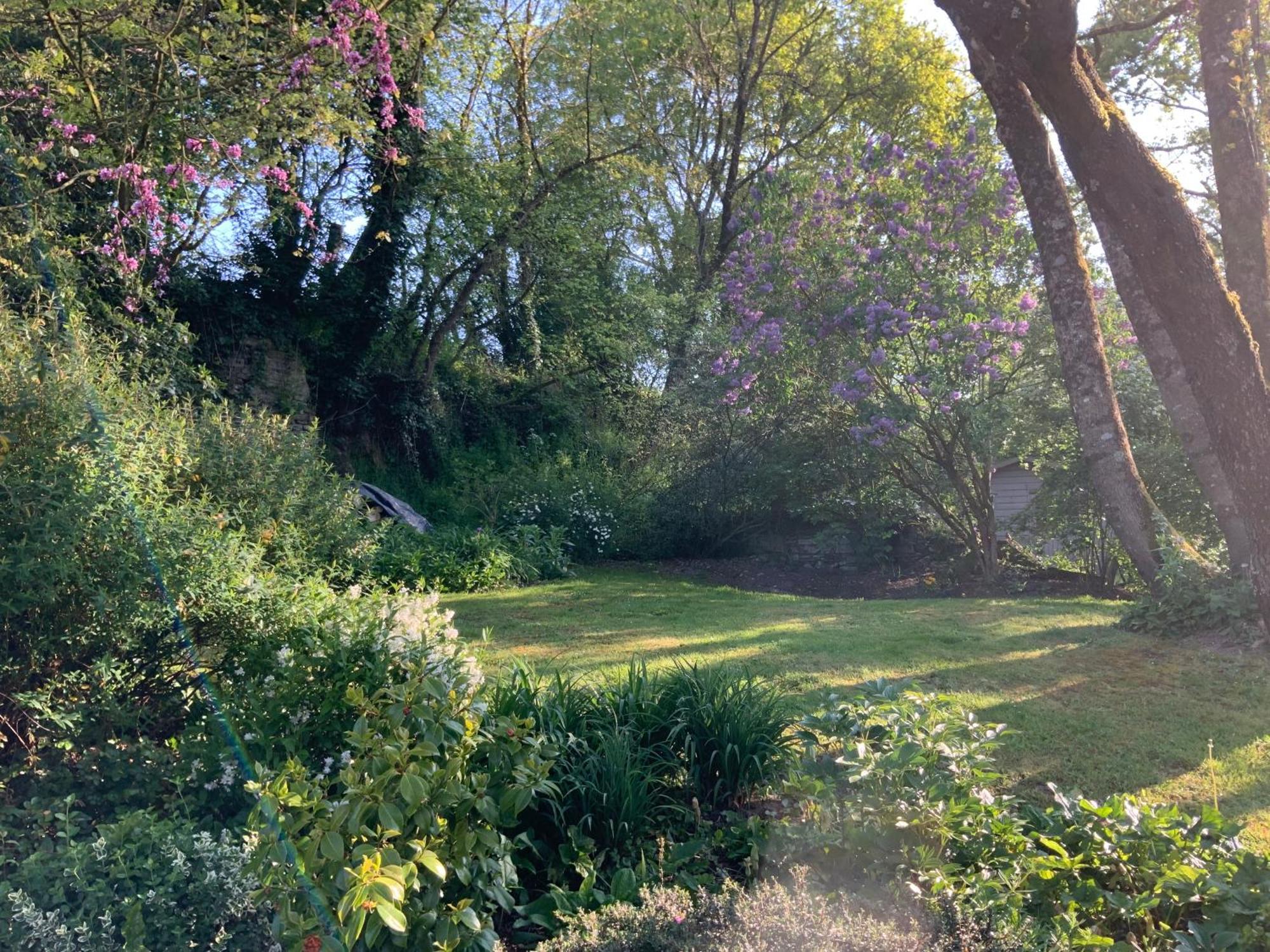 Le Moulin De La Castellerie Bed & Breakfast Moon-sur-Elle Екстериор снимка