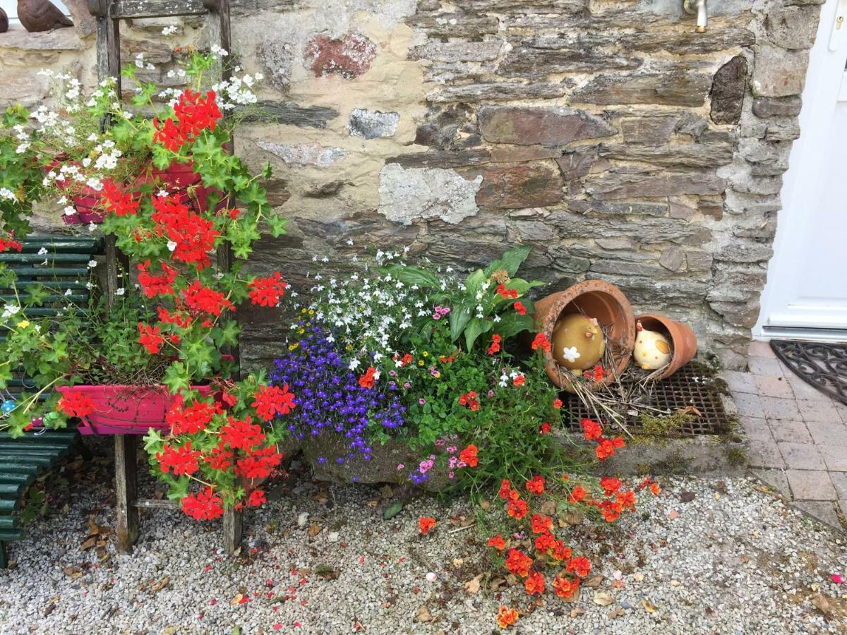 Le Moulin De La Castellerie Bed & Breakfast Moon-sur-Elle Екстериор снимка