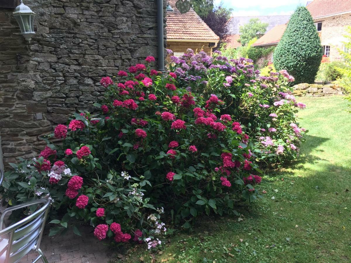 Le Moulin De La Castellerie Bed & Breakfast Moon-sur-Elle Екстериор снимка